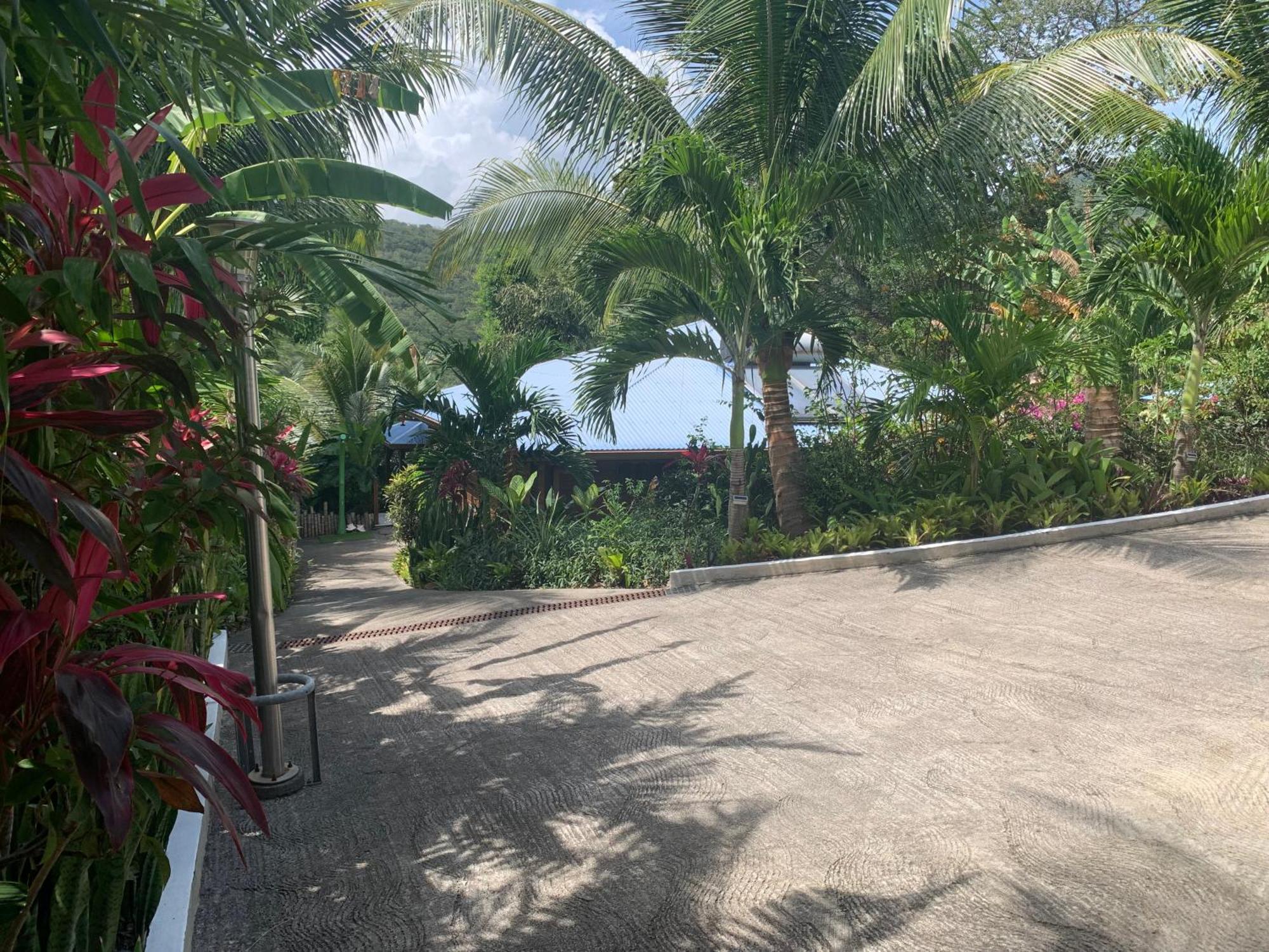 Les Ilets Caraibes Vue Mer Bouillante Eksteriør bilde